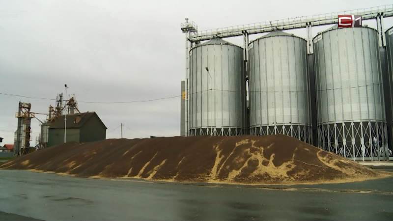 Уборка зерновых и зернобобовых в Тюменской области завершена на 99%