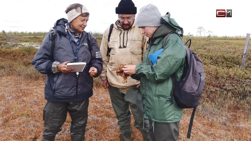 Ученые ЮГУ исследуют уникальную флору природного парка «Нумто»