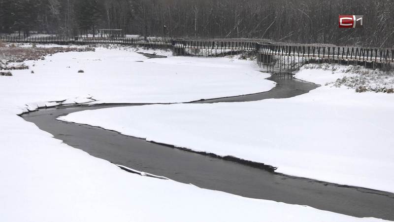 На водоемах Сургута начался ледостав. Детей и рыбаков предупреждают об опасности
