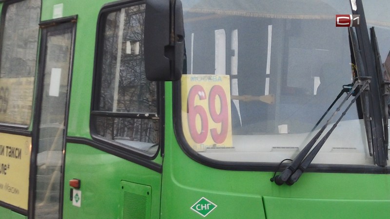 Водитель автобуса и избитый ребенок: инцидентом в Сургуте займется СК России