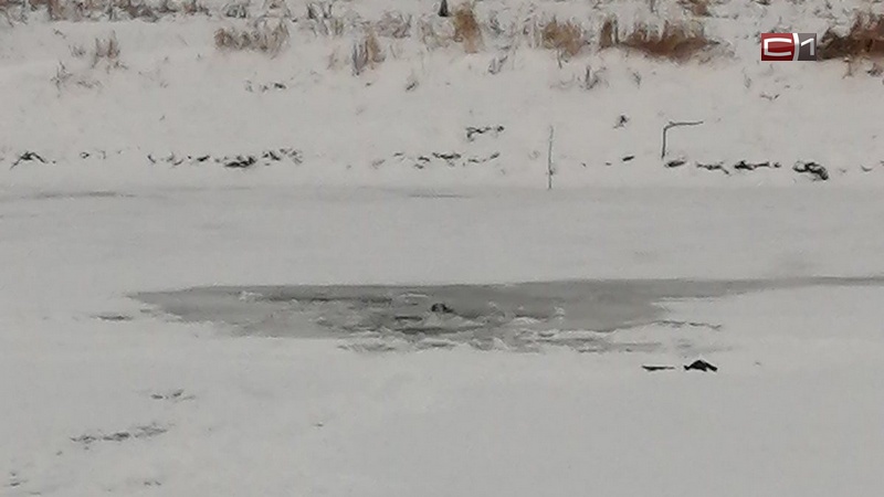 Провалившегося под лед рыбака еле успели спасти в Югре
