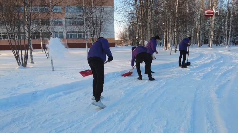 «Снежный десант» из волонтеров работает в Сургутском районе