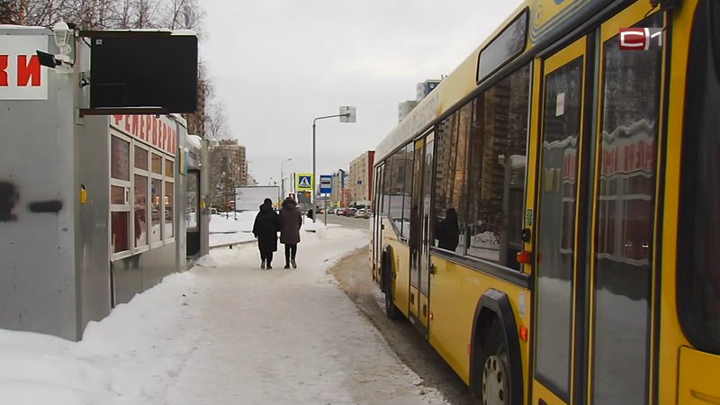 Проезд школьников в сургутских автобусах могут сделать бесплатным
