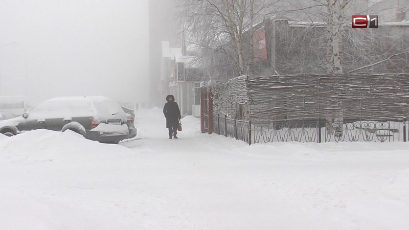 Переменчивая погода. Морозный Новый год обещают синоптики жителям Сургута