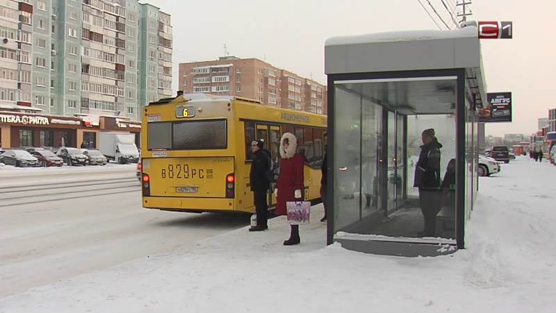 Проезд школьников в автобусах могут сделать бесплатным зимой