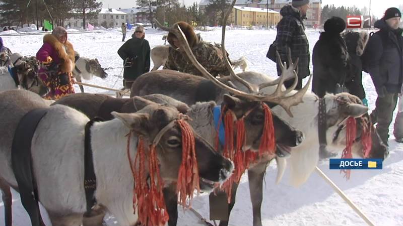 День оленевода состоится в Сургутском районе 18 марта