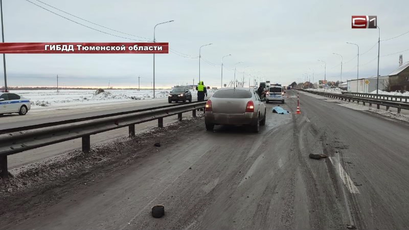 Пожилой мужчина погиб под колесами авто на трассе Тюмень — Ханты-Мансийск