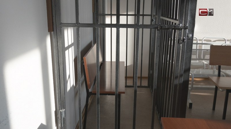 Наркосбытчика в Югре приговорили к 6 годам лишения свободы