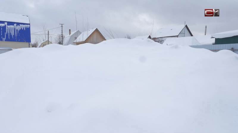 Дачники в Сургуте боятся весны из-за стихийного снежного полигона под окнами