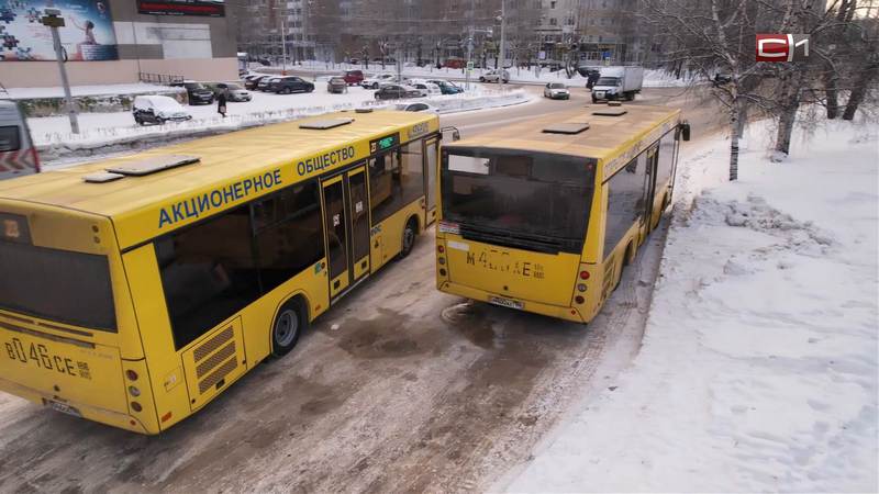 Парк общественного транспорта в Сургуте может увеличиться почти на 160 автобусов