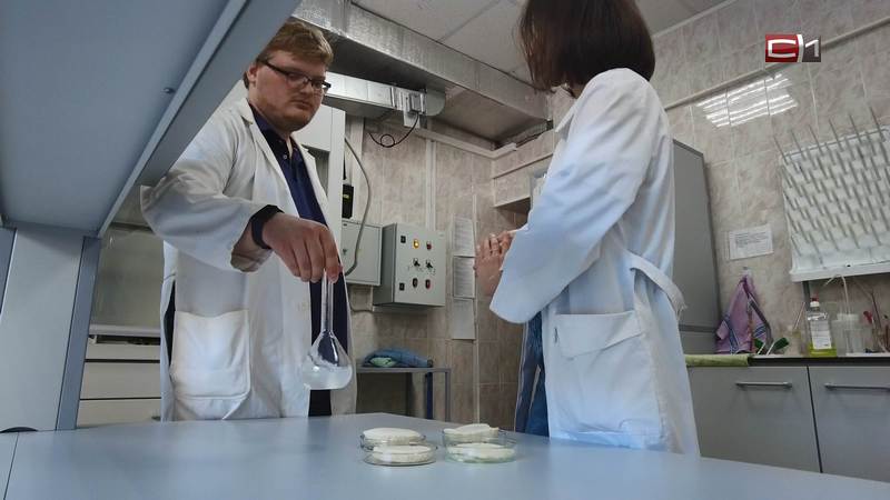 Студенты сургутского университета разработали съедобную одноразовую посуду