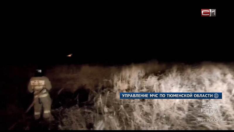 Первый в этом году серьезный ландшафтный пожар произошел близ Тюмени