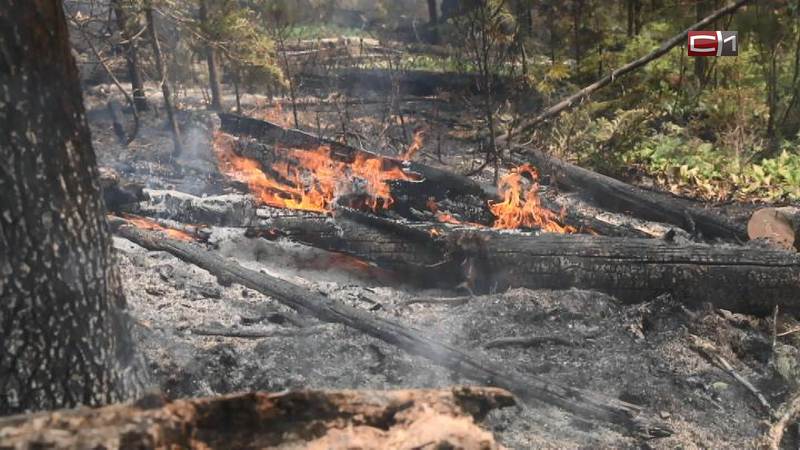 Ландшафтные пожары пылают в Югре и Тюменской области