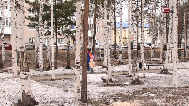 Сургутян призывают голосовать, чтобы помочь преобразить один из парков города