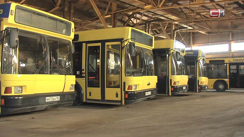 Автобусная реформа в Сургуте: как добраться из точки А в точку Б после 20 мая