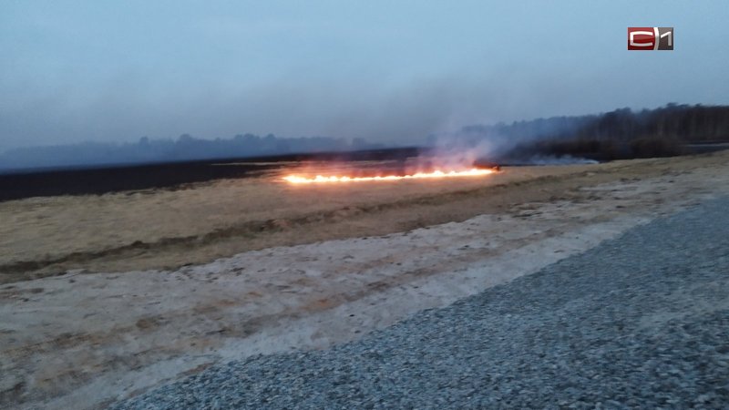 Лесной и ландшафтный пожары пытаются потушить в Сургутском районе