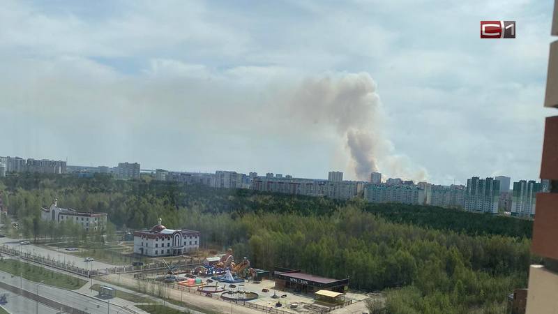 Жители Сургута наблюдают столб дыма от лесного пожара близ города