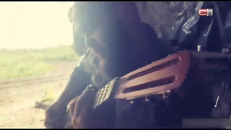 «Здесь нам снится дом»: боец в зоне СВО написал песню, сидя в окопах