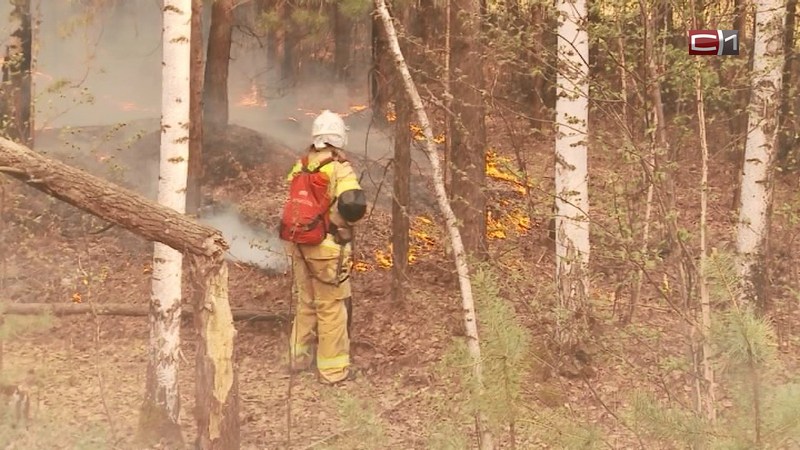 Почти 2 десятка лесных и ландшафтных пожаров потушено в Югре за неделю