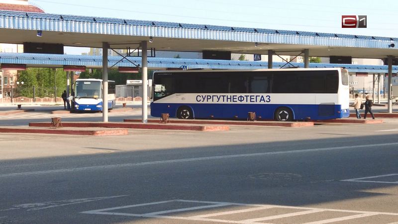 О своих буднях рассказали водители вахтовых автобусов Сургутнефтегаза
