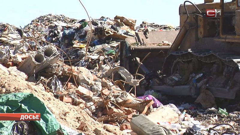 На территории Сургутского района обнаружена стихийная свалка отходов