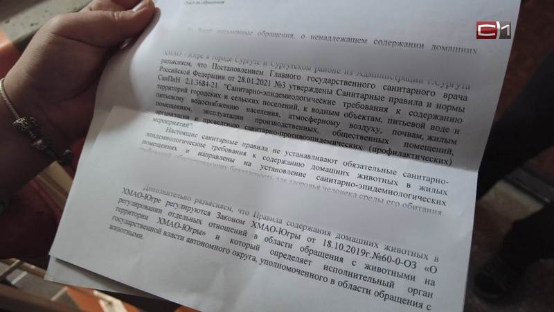 «Правил нет»: почему в Сургуте нельзя наказать человека за питомник в квартире