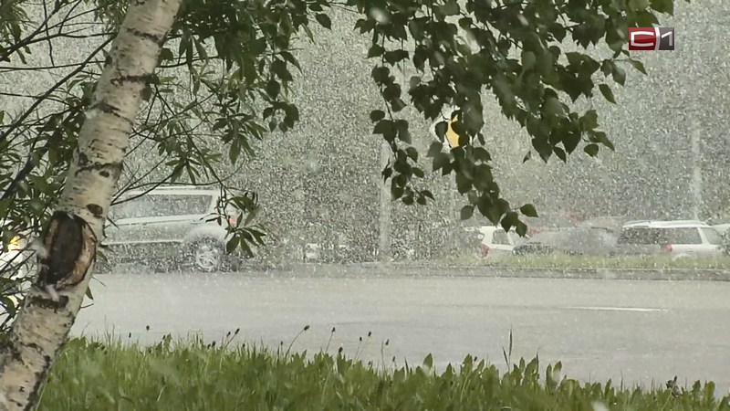 В Югре ожидаются сильные дожди и грозы с сильными порывами ветра