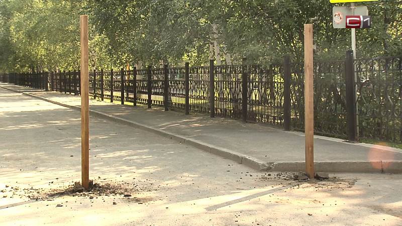 Жители дома на Дзержинского в Сургуте возмутились стройкой на месте берез и осин