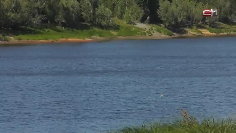 Стали известны новые подробности трагедии на водоеме в Сургутском районе