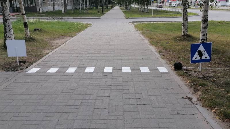 Пешеходный переход для ежиков появился в одном из городов Югры