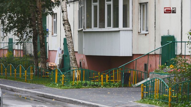 На жителей Сургута в подвалах домов нападают блохи