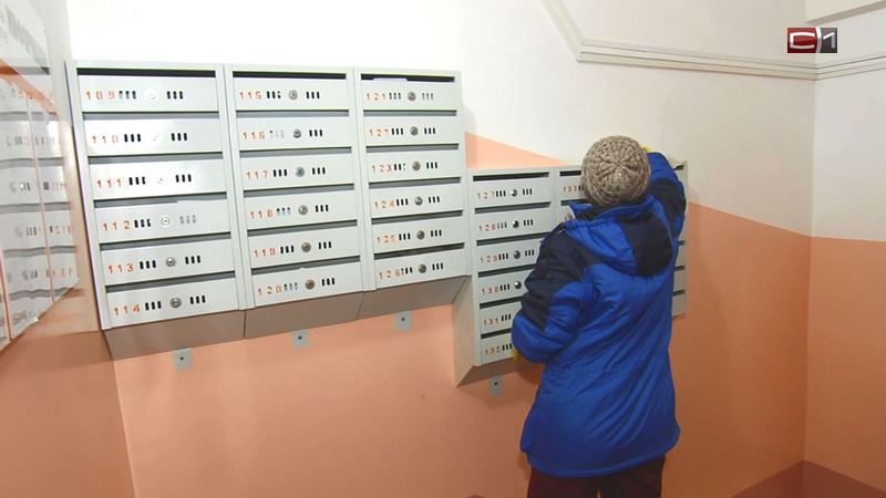 Рублем будут наказывать тех, кто засоряет почтовые ящики листовками