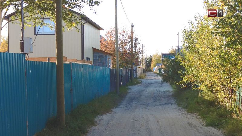 Жители кооператива близ Сургута недовольны соседством с собачьим питомником