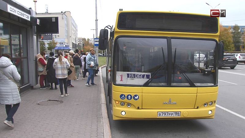 Россиянам предлагают оценить качество работы общественного транспорта