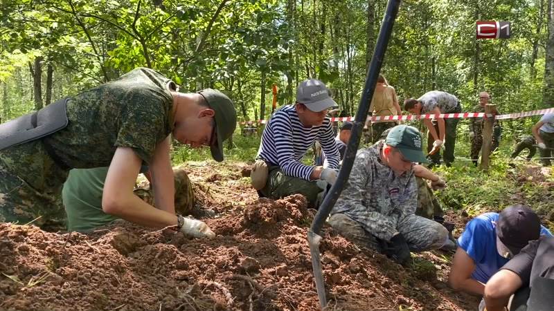 Сургутские поисковики обнаружили останки порядка 20 бойцов времен ВОВ