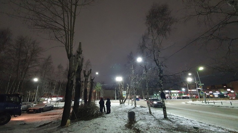 Вновь рубят. Сургутяне возмущены спиливанием деревьев на улице Сибирской