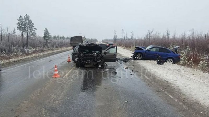Водитель и годовалая девочка погибли в жуткой аварии в Югре