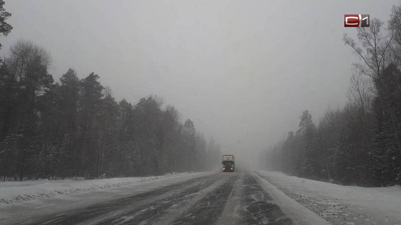 Ограничение скорости ввели на трассах Югры из-за снегопада и ветра