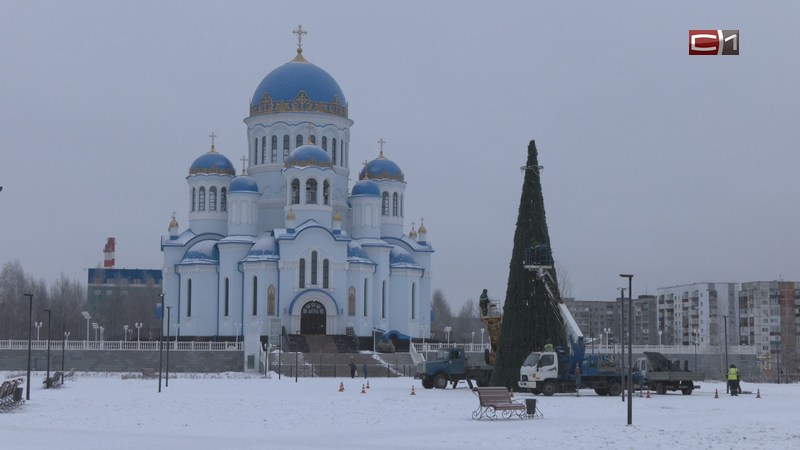В Сургуте устанавливают новогоднюю елку и готовятся обустраивать ледовые городки