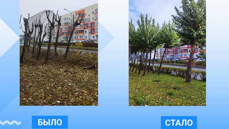 На девяти улицах Сургута завершили работы по кронированию деревьев