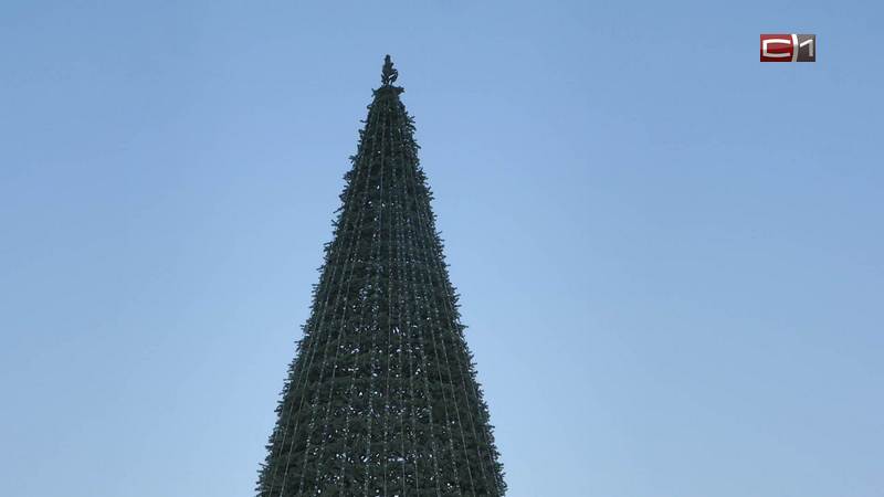В Сургуте устанавливают «елку-экран» с тысячами светодиодов