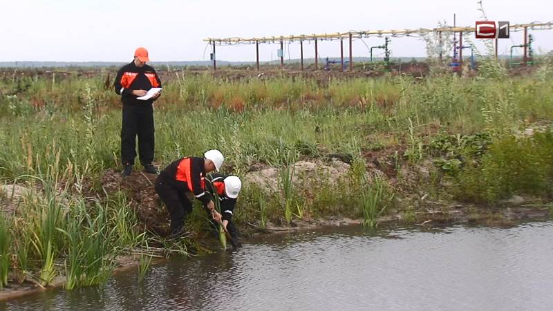 25 лет ученые Санкт-Петербурга проводят экомониторинг месторождений Сургутнефтегаза