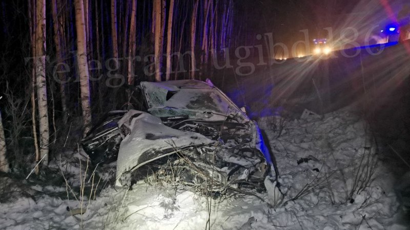 На трассе Сургут-Нижневартовск произошло ДТП, в котором погибли два человека