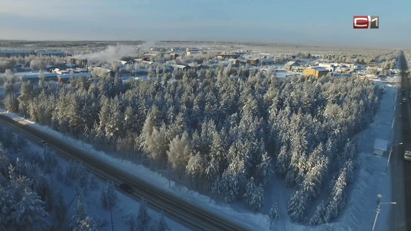 Правительство России предложило включить два района Югры в Арктическую зону