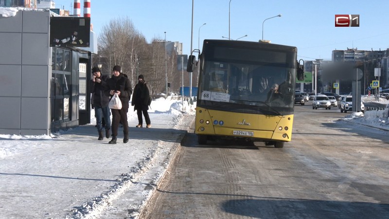 Новый этап транспортной реформы: в Сургуте хотят выделить полосы для автобусов
