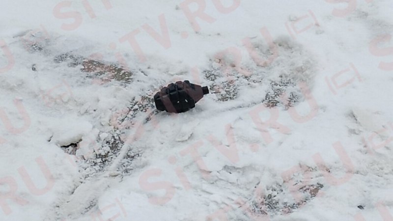 Кинологи проверили подозрительный предмет, найденный на дороге в Сургуте