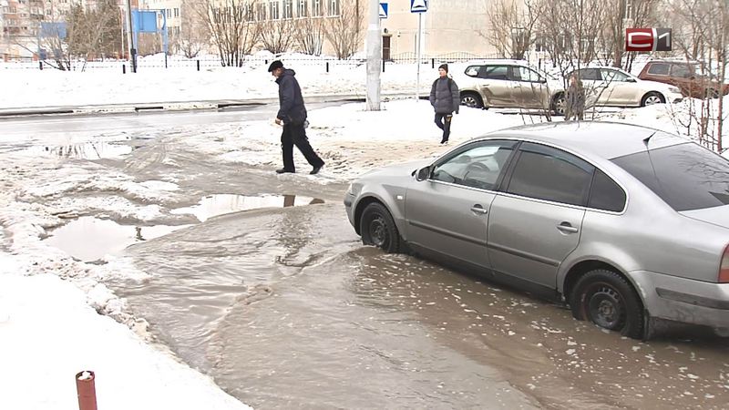 Депутаты думы Сургута попросили мэрию учитывать погоду при уборке снега