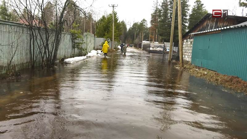 Паводок в Югре: большая вода может прийти в Сургут в июне