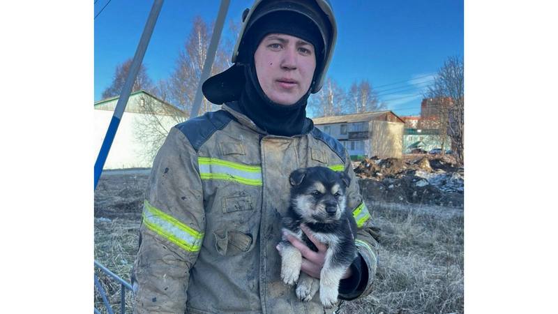 В Югре щенка, спасенного из огненного плена, приютил работник пожарной части