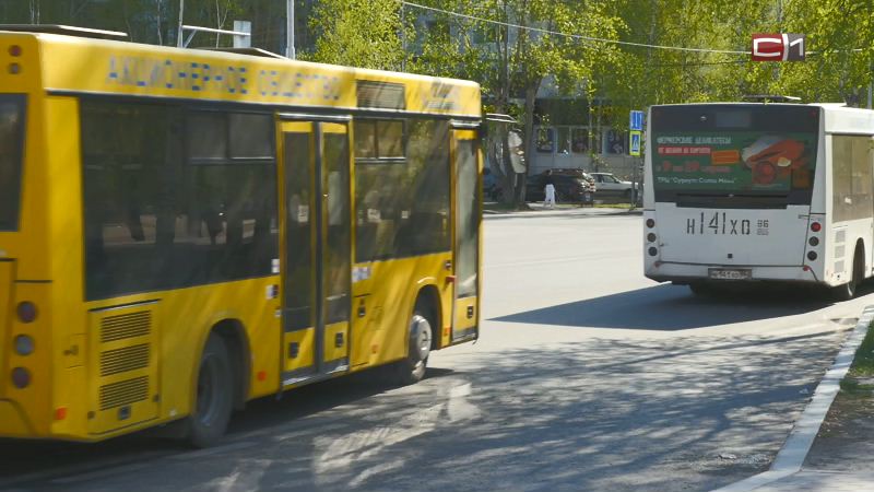 Нашли компромисс: автобусы «Центра» снова выйдут на маршруты в Сургуте